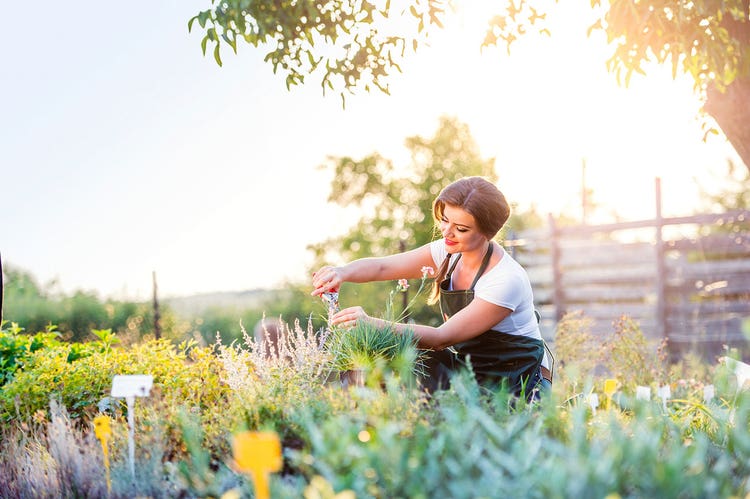 1-beautiful-woman-gardening