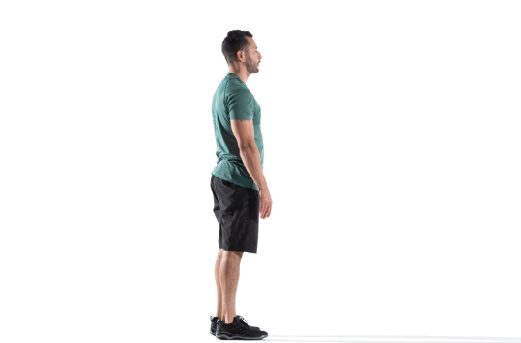 Standing Hamstring Stretch Animated