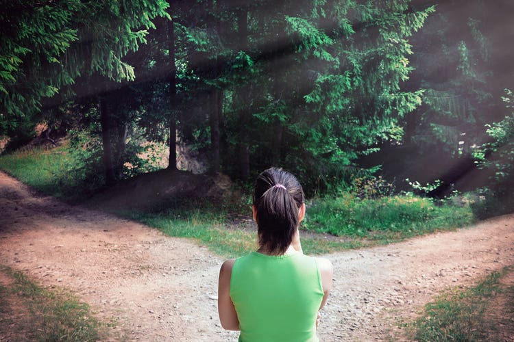 A person wearing a green blouse anda long black ponytail faces away from the viewer down two intersecting dirt roads