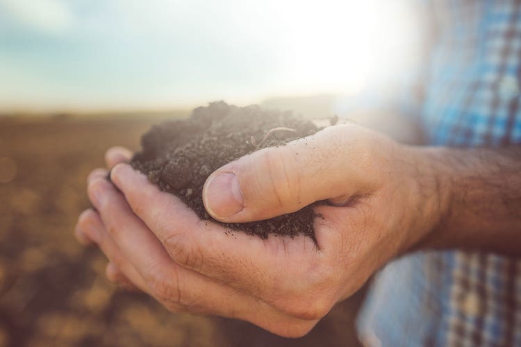 A closeup of a person's hands holding soil while standing in a sunny field