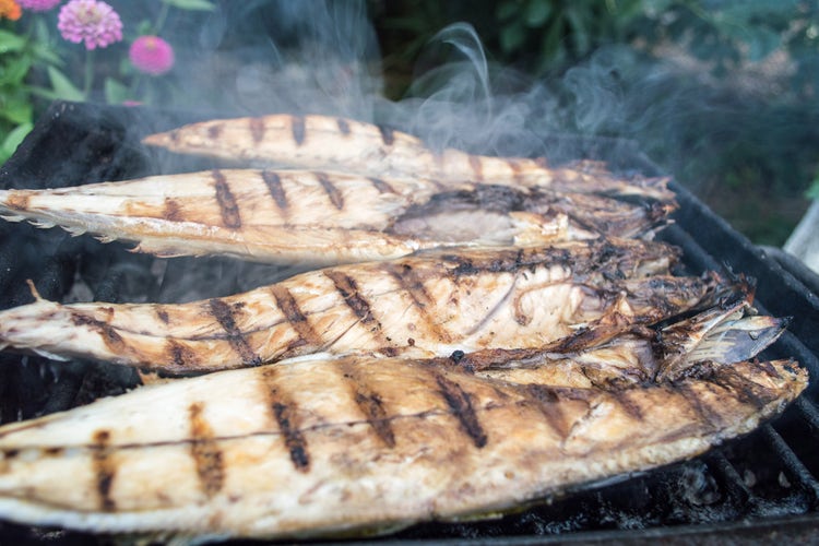 hero-grilled-fish