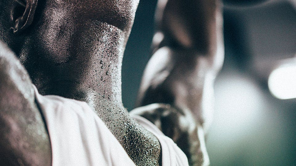 The Science Behind Sweat 8777